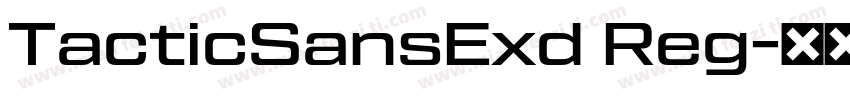 TacticSansExd Reg字体转换